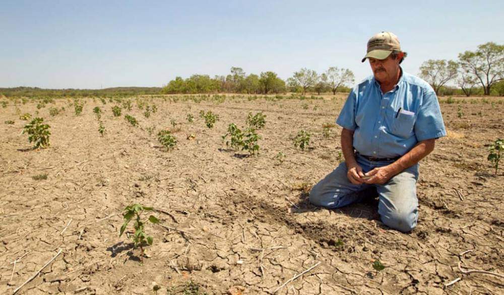 Hay muchos campesinos de los más de 37 mil que están en el padrón #Sinaloa, a los que no se les pagó el apoyo el año pasado, a pesar de haber trabajado, a lo que debe sumarse que tampoco en este se les ha pagado, aun cuando el año está por terminar. 

facebook.com/share/p/1XtUTy…