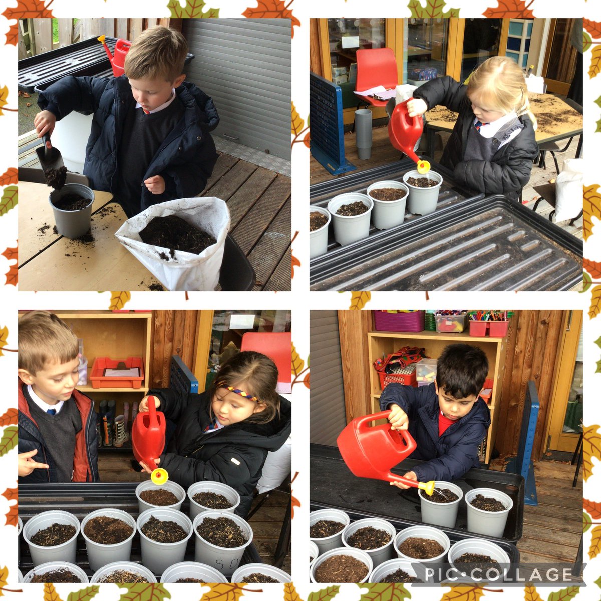 In Reception <a href="/Hollymountbury/">Holly Mount RC Primary</a> we have enjoyed planting daffodil and crocus bulbs. We are looking forward to seeing them grow in the spring <a href="/MrsPattersonC/">Mrs Patterson</a> .
