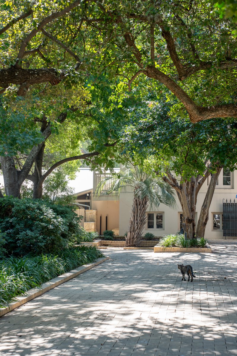 UTSA's tweet photo. Today, across our campuses, we’re pausing to reflect on our community’s well-being. Roadrunners, take a breath, check in with friends and family, and take care of yourself.

#UTSA https://t.co/5cgQZiHhLG