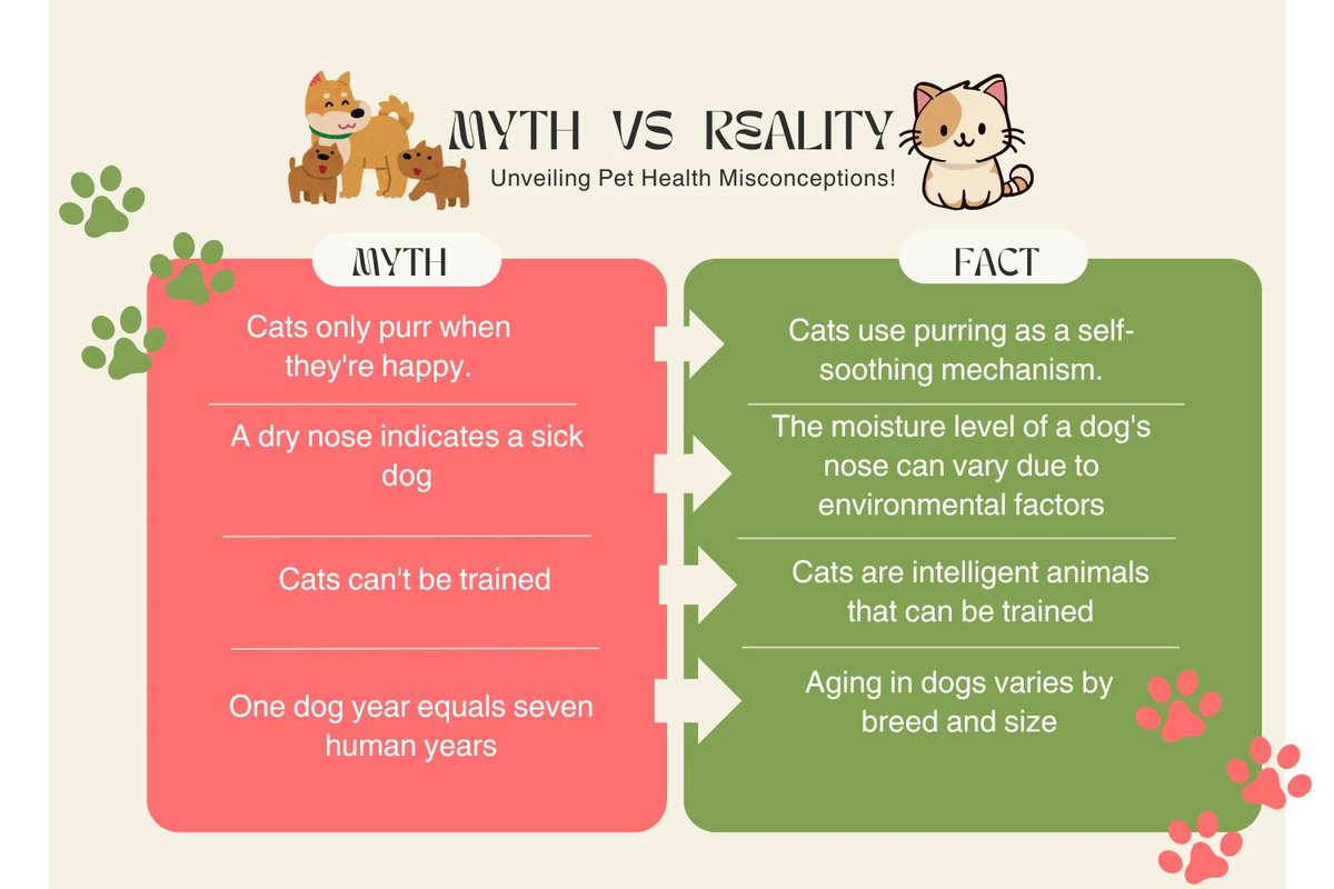 Do you believe these common pet myths? 🤔 Let's clear the air!
.
.
.
Like and comment below with your favorite pet myth. 👇

#Petfacts #Mythsvsfacts #pets #dog #cat #dogsofBoise #boisepetsitters #petsitting #cats #boisedogs #boisecats #boiseidaho