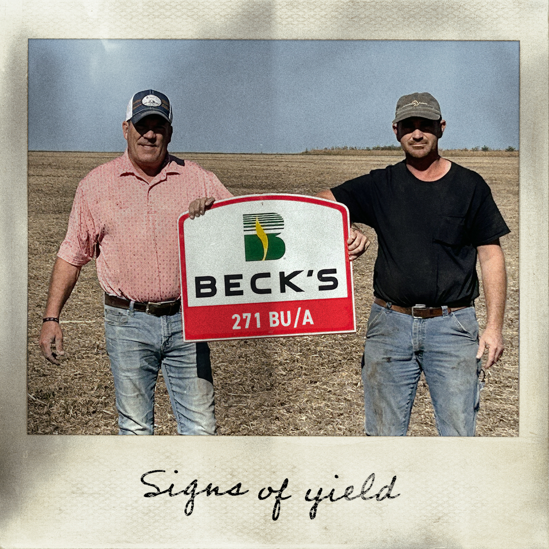 Beck's Hybrids tweet media