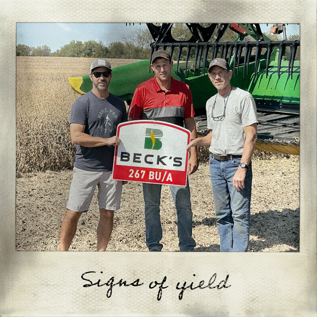 Beck's Hybrids tweet media