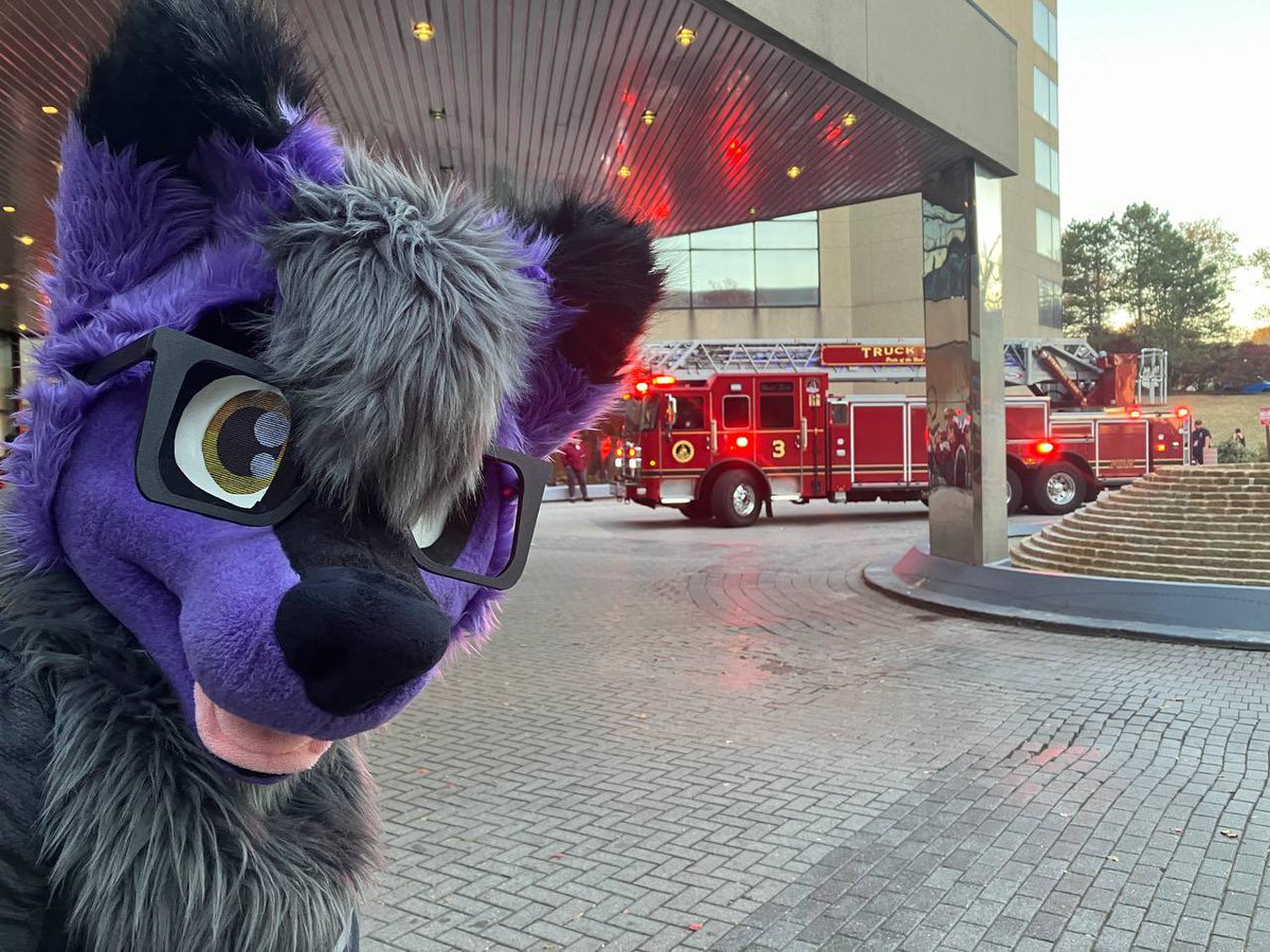 For this #FursuitFriday I become a meme