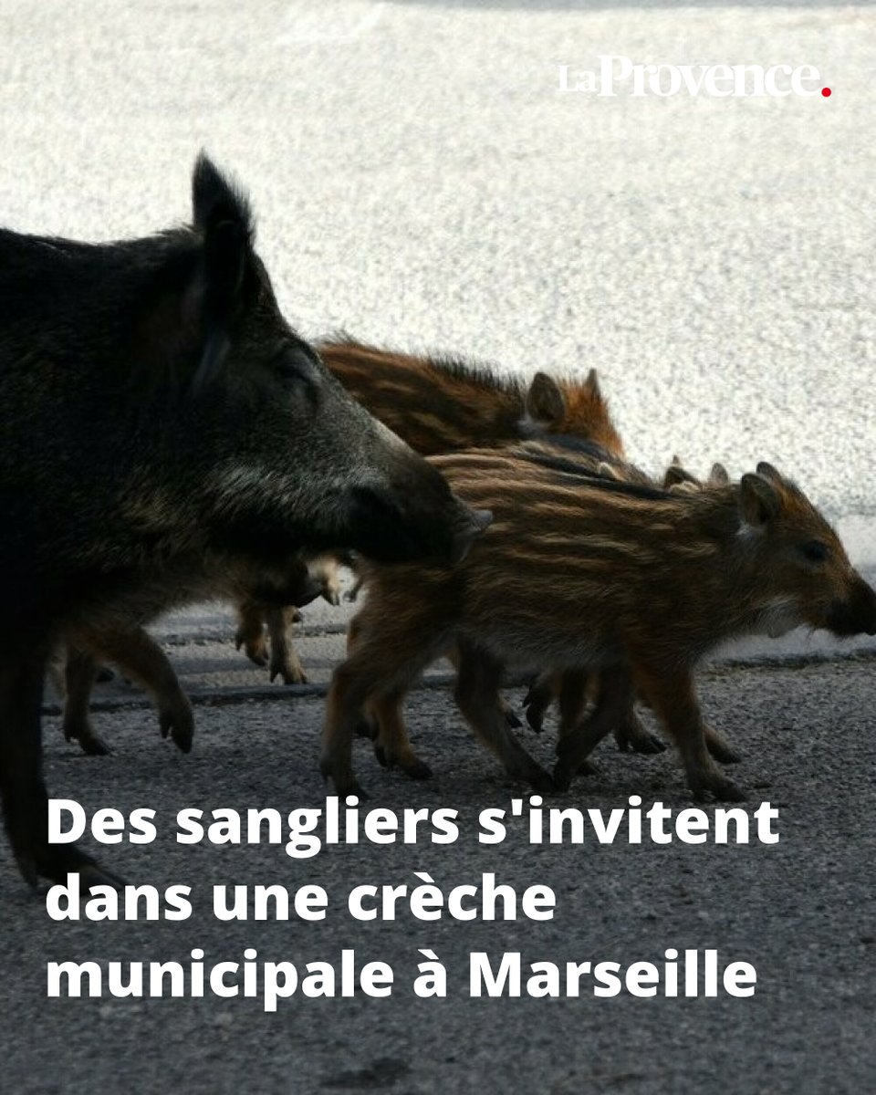 Un surprenant comité d’accueil pour les parents et le personnel 👉 l.laprovence.com/TVuM