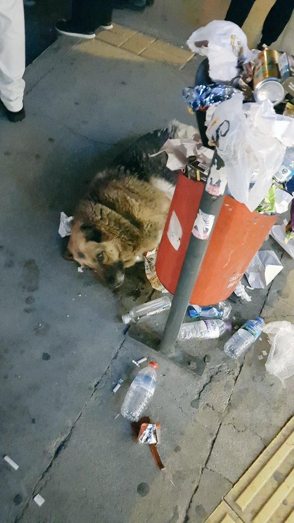 önerilmez (@inbriefiam) on Twitter photo 