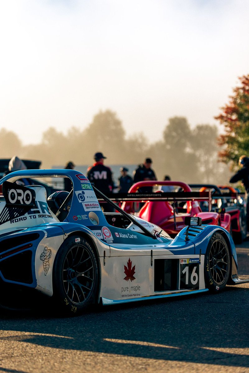 Pure Maple tweet media