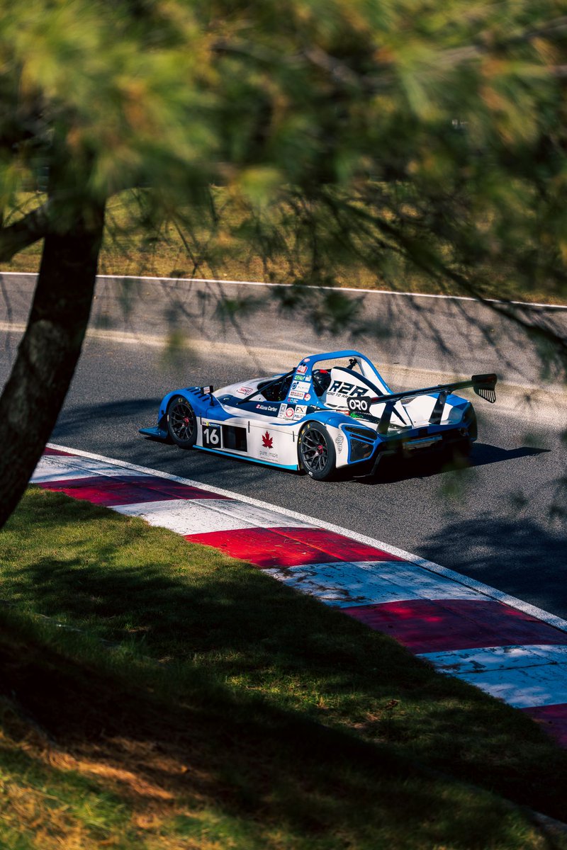 Pure Maple tweet media