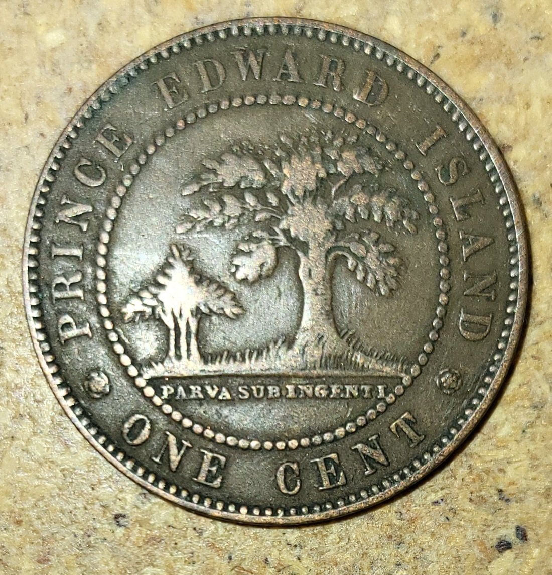 FlipACoin5's tweet image. Nice 1871 PEI Large cent penny
#coins #penny #largecent #Canada #numismatic #saturdaynightcoinshow #PEI #coinoftheday