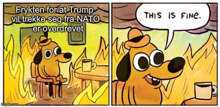 Jan Brøgger 🇺🇦🇳🇴 NAFO tweet media