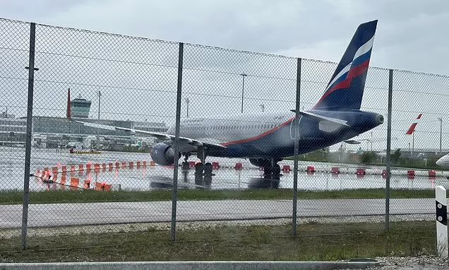 José Correia Guedes tweet media