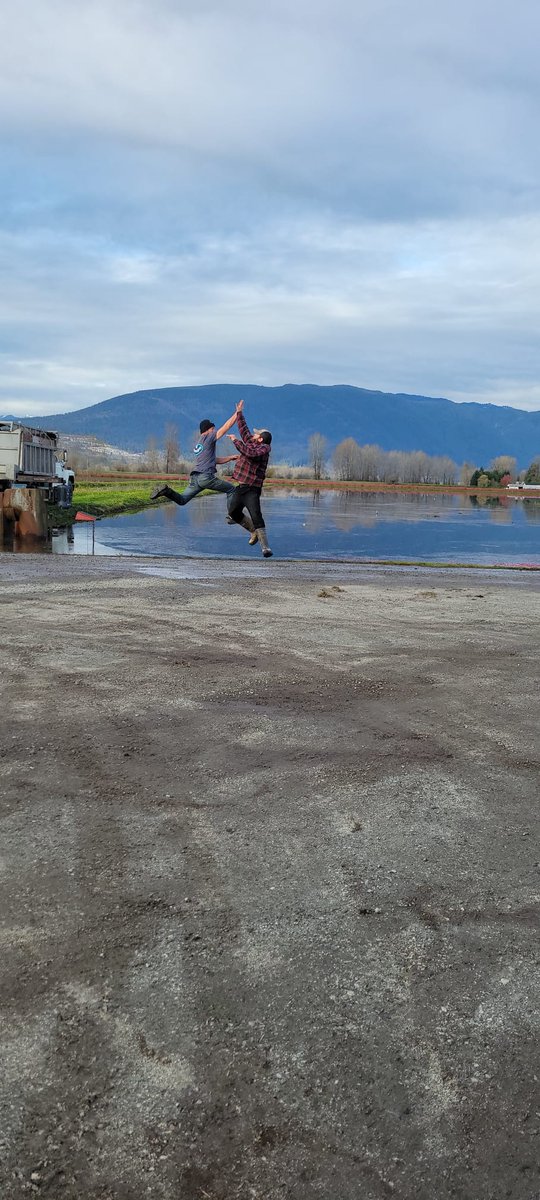 Hopcott Farms tweet media