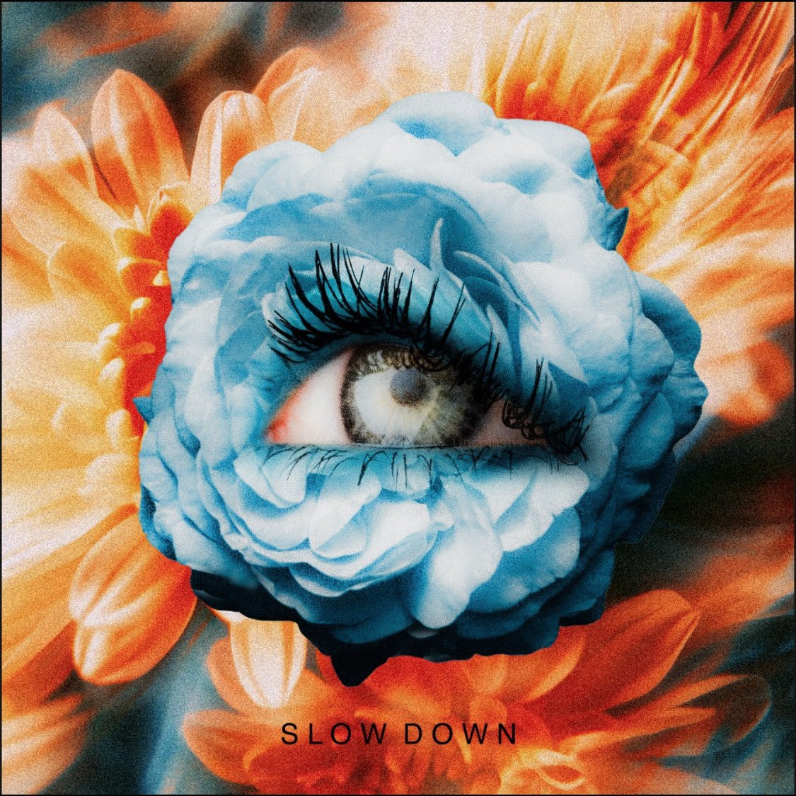 Our new Single SLOW DOWN is now available in all the places. 

linktr.ee/animalscream?u…