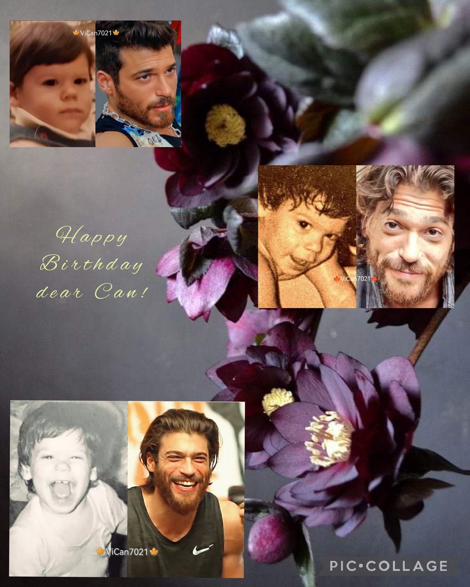 .
    💌

A wish for you on your birthday, whatever you ask may you receive, whatever you seek may you find, whatever you wish may it be fulfilled on your birthday and always. Happy Birthday dear CAN 💕

#CanYaman
#HappyBirthday35CanYaman