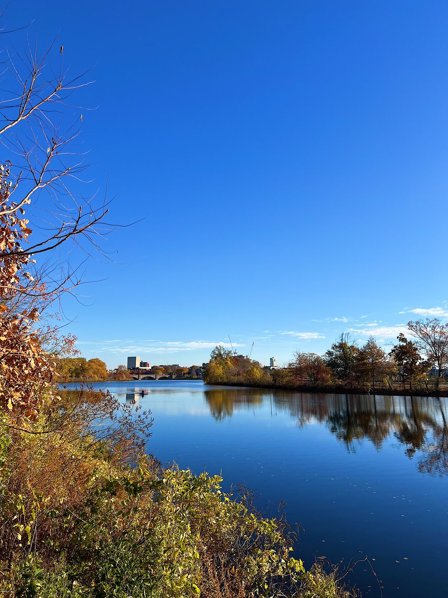 bostonwaterfrontcoalition tweet media