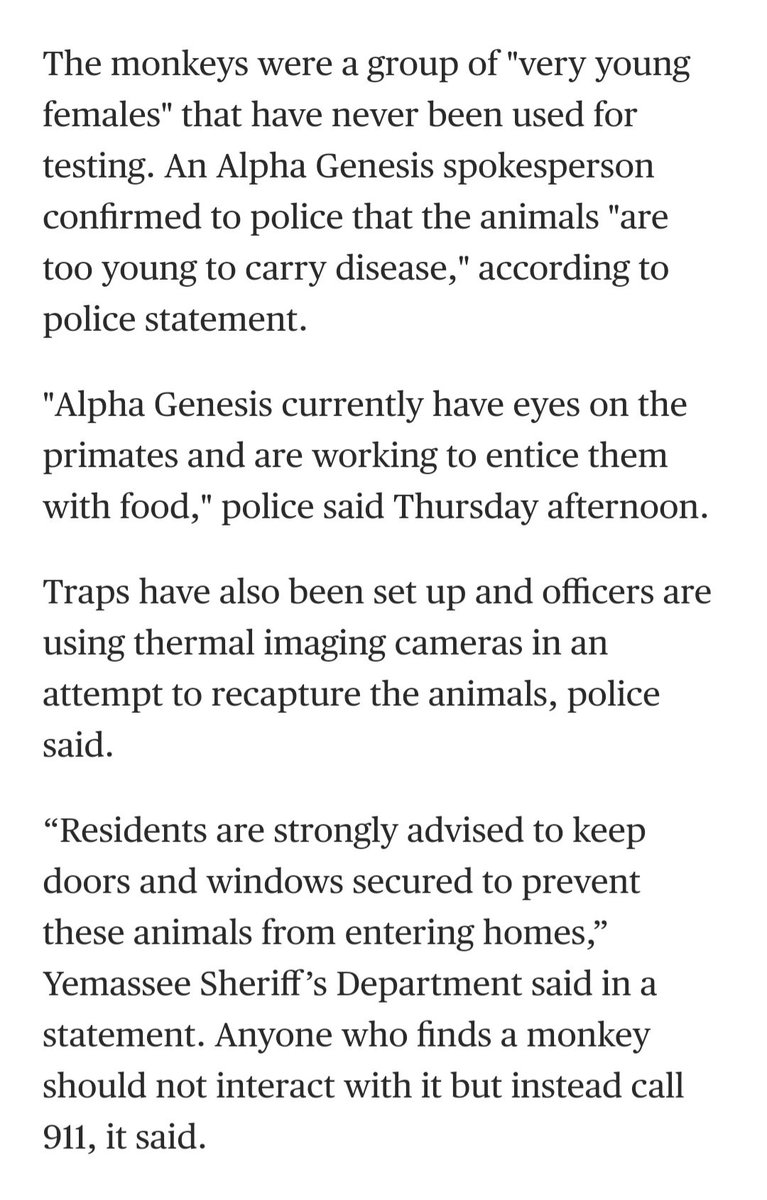 lemonknitter's tweet photo. @yagadigital But the police say they're too young to carry disease! 🙊 Just lock your doors and windows, nothing to worry about.  Ignore the whole ass island where they have thousands of them, nothing can go wrong with that what with their amazing track record. https://t.co/YhYZaJ13yS