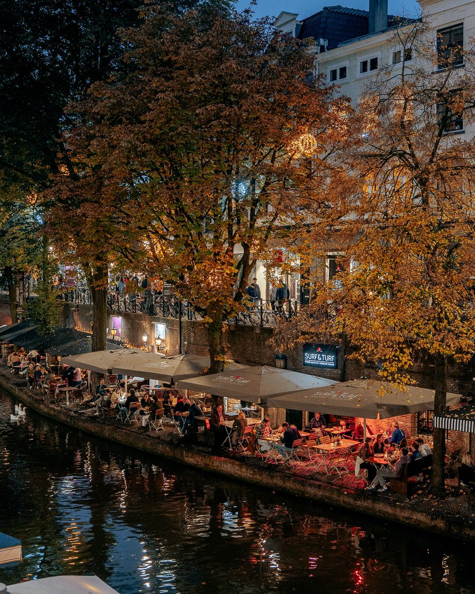 utrechtalive tweet media