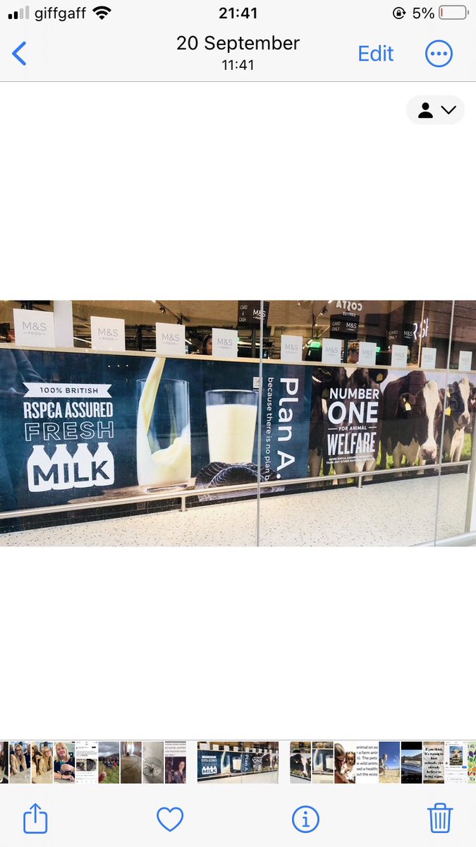 Cherry Cecilia Ⓥ ✌🏽💚🍒 tweet media