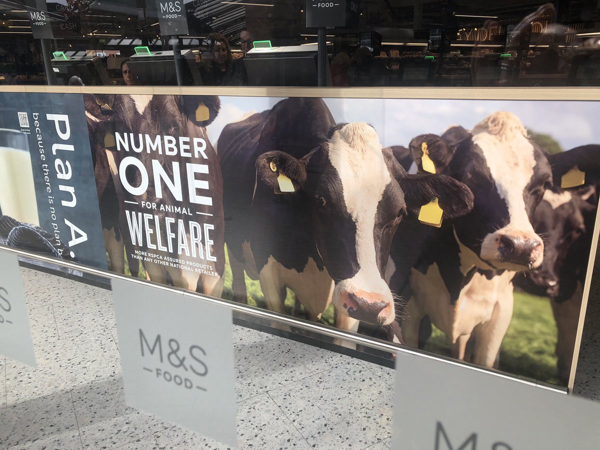 Cherry Cecilia Ⓥ ✌🏽💚🍒 tweet media