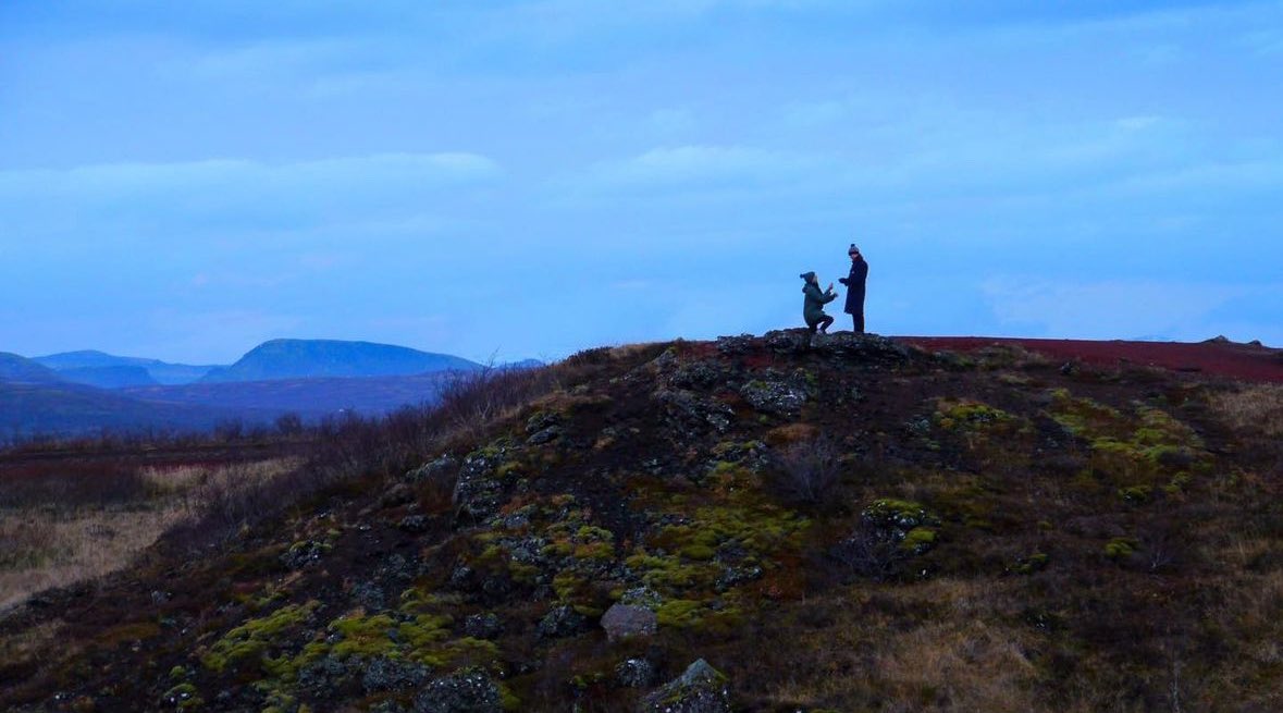 linus karp tweet media