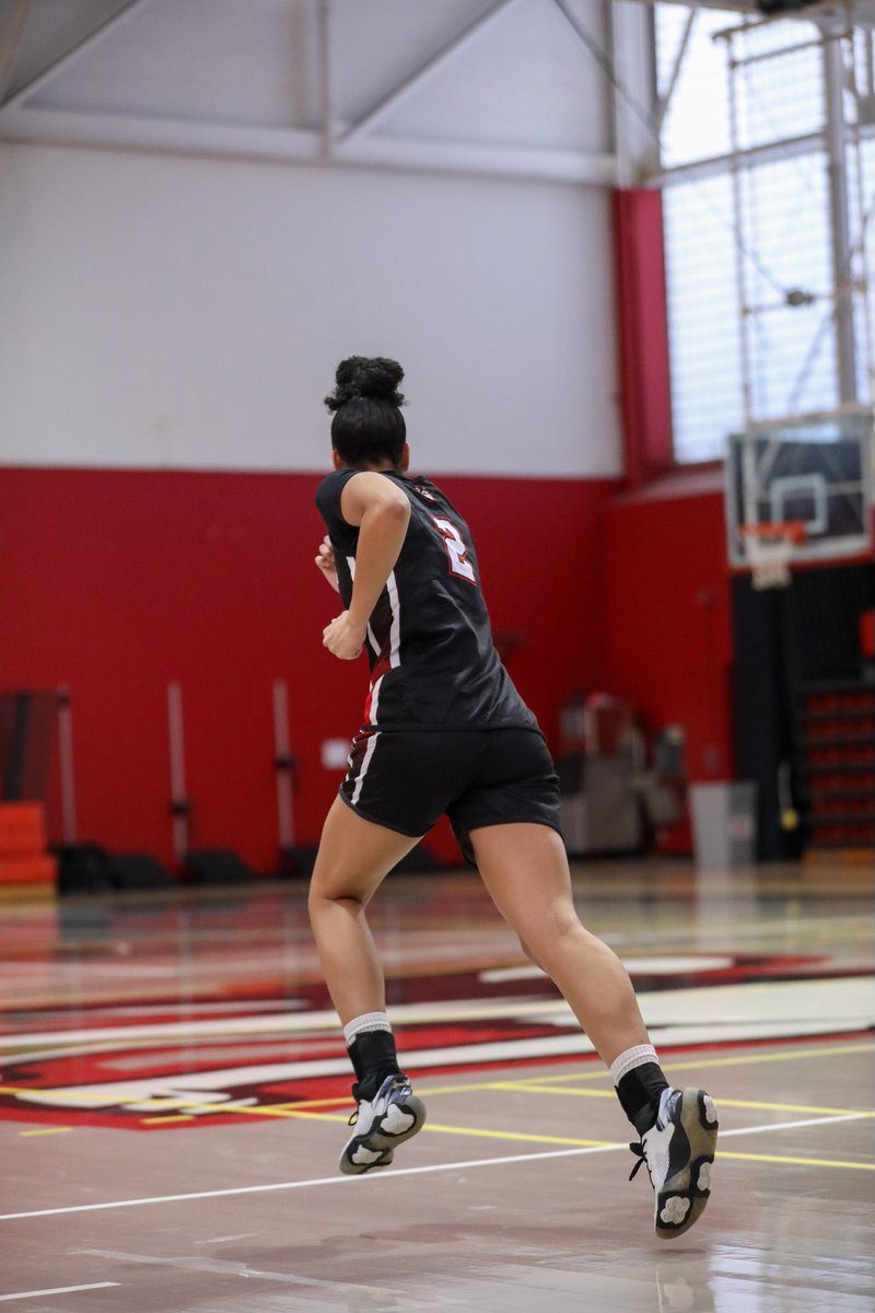 Northeastern Women’s Basketball tweet media