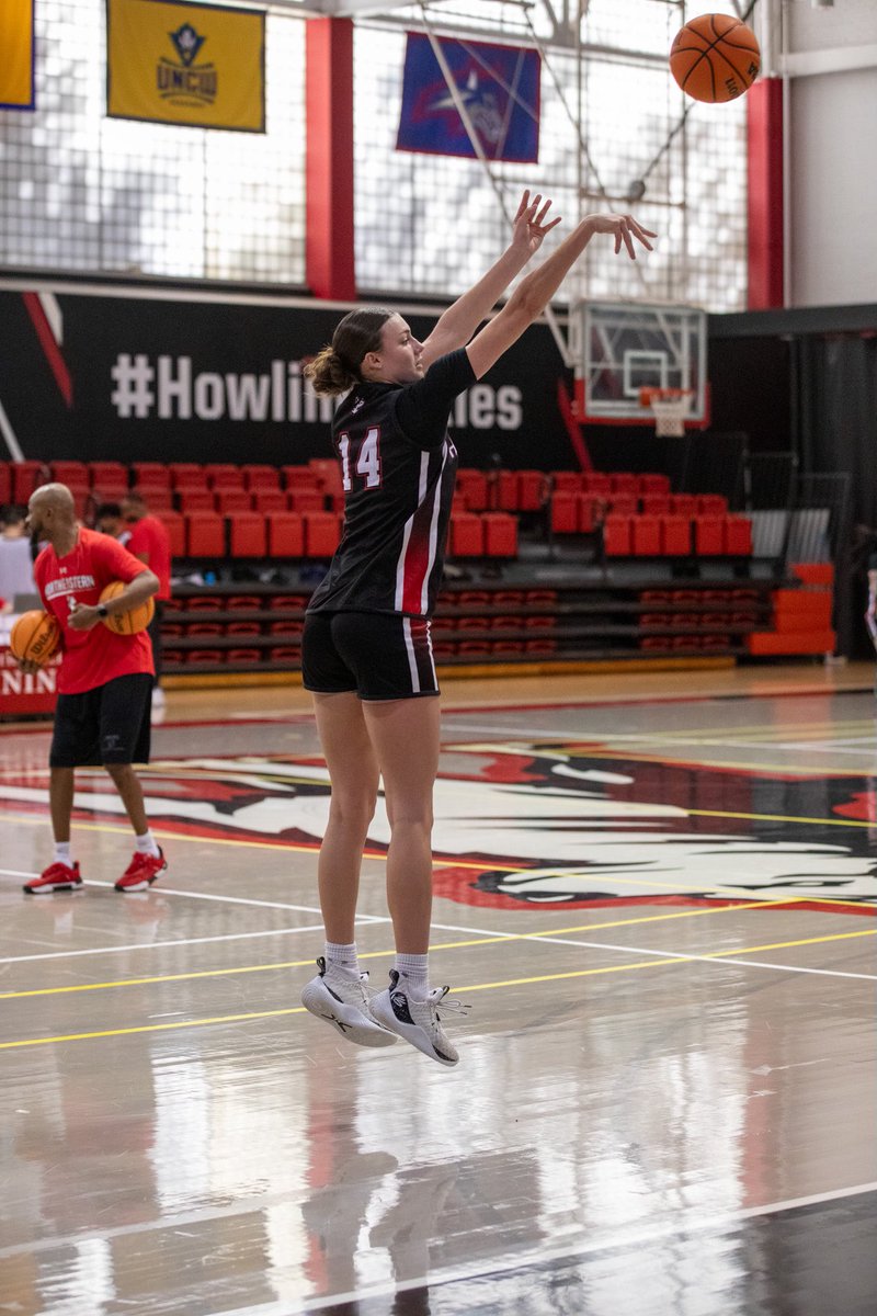 Northeastern Women’s Basketball tweet media