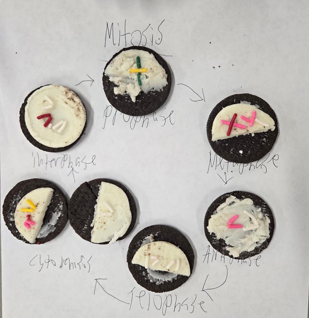 DVUSD Pathways tweet media