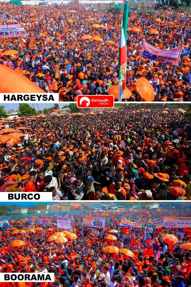 AxmedMa50956255's tweet photo. Waddani party 🧡 https://t.co/aL8jcM8P8D