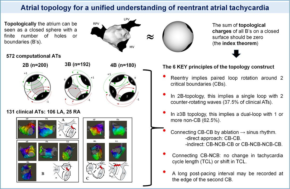 CircEP (@circulationep) on Twitter photo Exploring macro-reentrant atrial tachycardia through topology reveals critical boundaries, enhancing understanding and management of typical and atypical flutter @nvandersickel #AHAJournals #Epeeps 
doi.org/10.1161/CIRCEP… Exploring macro-reentrant atrial tachycardia through topology reveals critical boundaries, enhancing understanding and management of typical and atypical flutter @nvandersickel #AHAJournals #Epeeps 
doi.org/10.1161/CIRCEP…