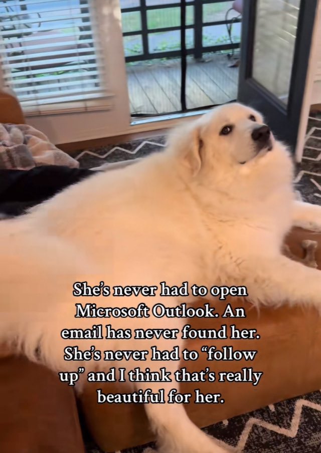 god i wish this was me