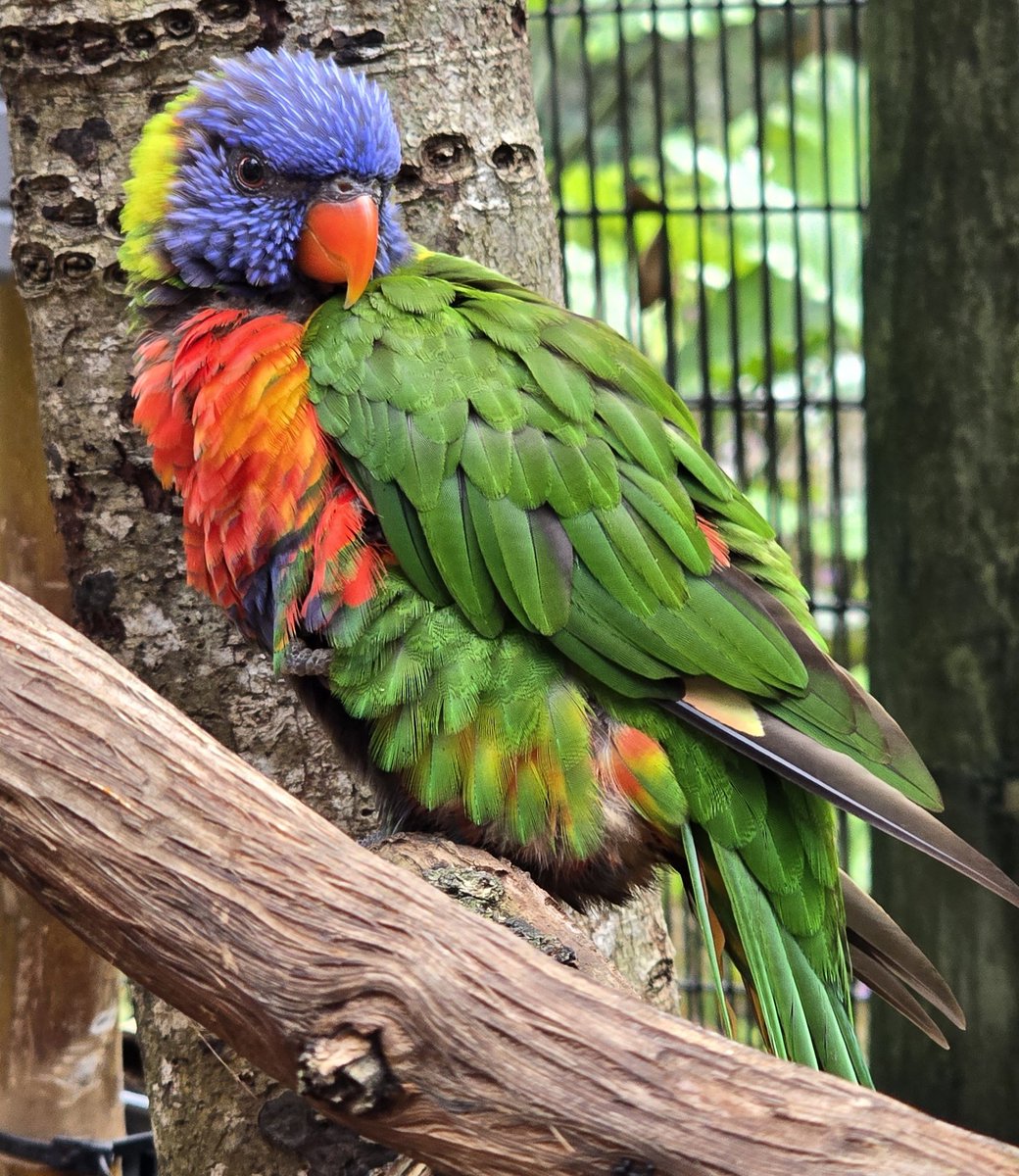 A little color for your timeline.