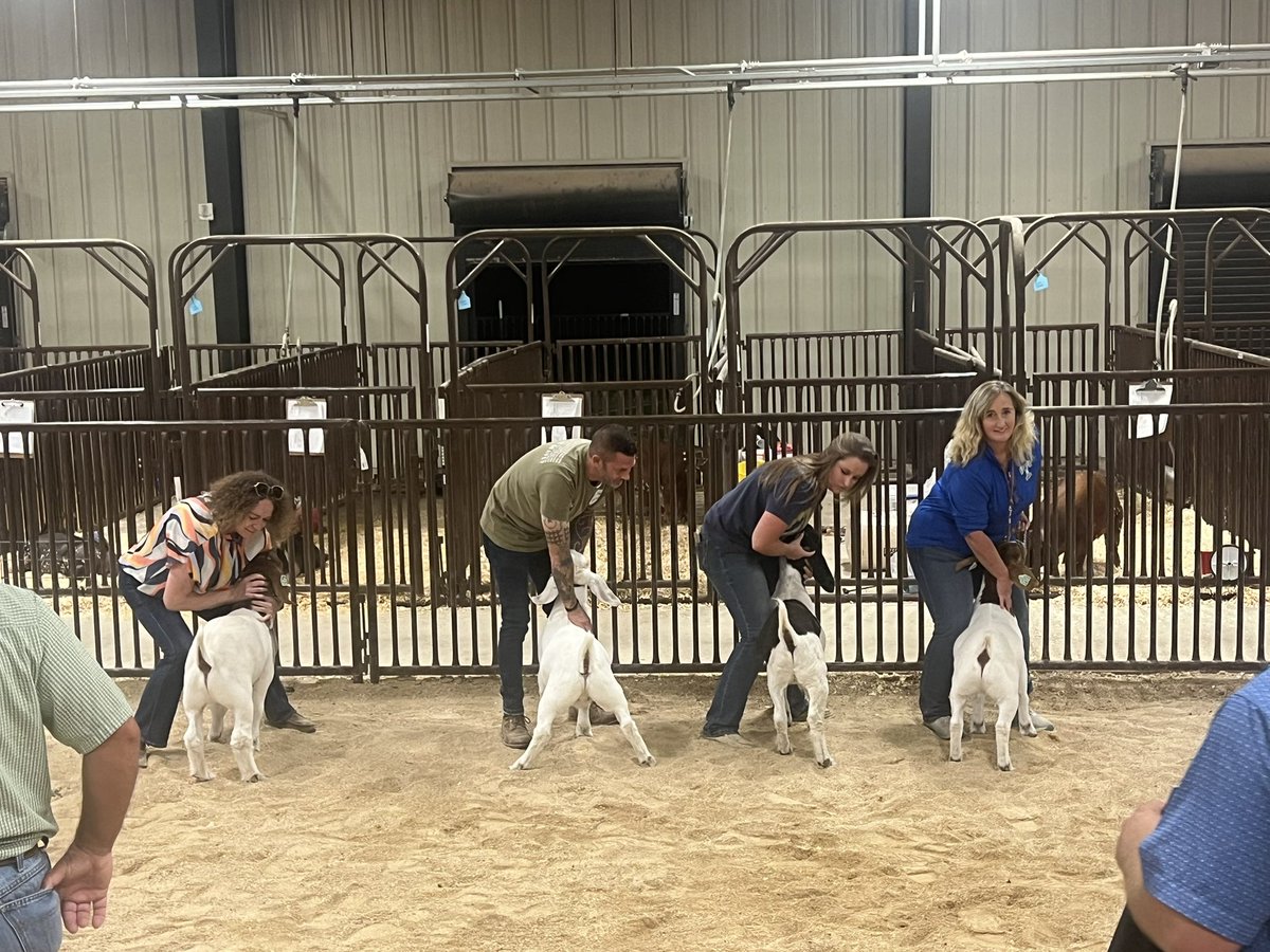 Dr. Brent Ringo tweet media