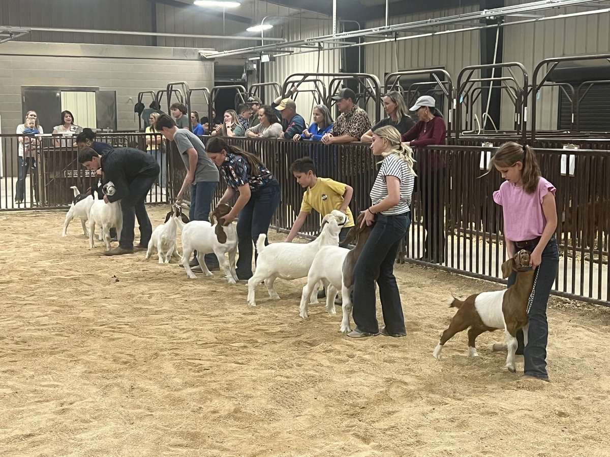 Dr. Brent Ringo tweet media