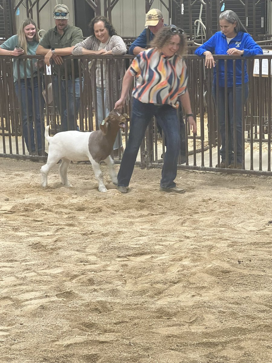 Dr. Brent Ringo tweet media