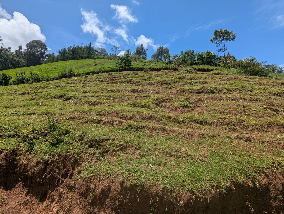 And just like we shared information about our visit in Tanzania last week, here is an update from our workshop in Ethiopia.

Check out our post 👇

linkedin.com/posts/real-nbs…