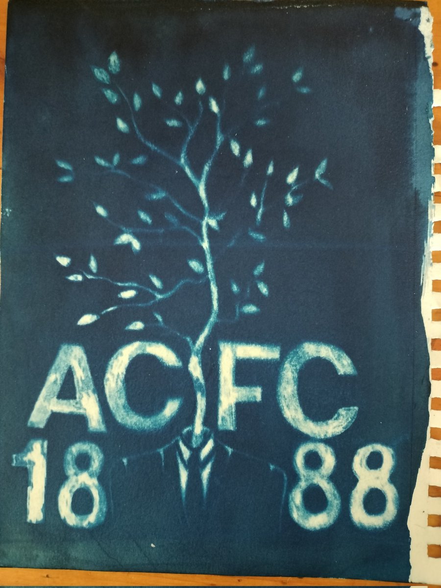 pepperpepperz's tweet photo. my first attempt at cyanotype printing!!!! yes i know the tree is backwards. I'll fix it next  time. #ashwoodcity #TheOffensive https://t.co/XH2iCXo4FR