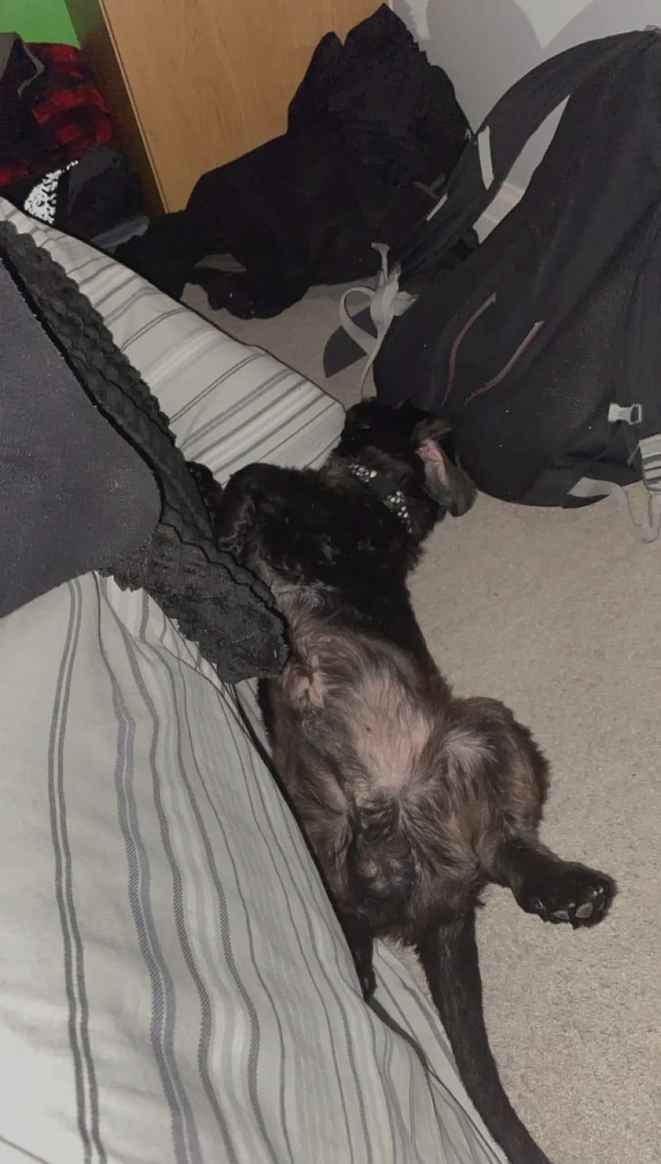 Resp3xt's tweet image. What’s everyone saying about Markuss?