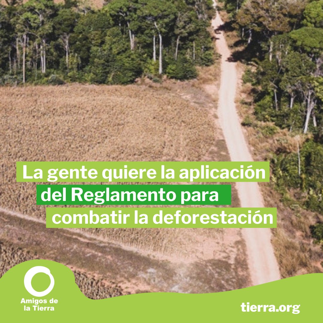 🌳 El 91% nuestra población ve la #deforestación como una de sus mayores preocupaciones ambientales. La UE no puede retrasar el Reglamento contra la deforestación. tierra.org/una-nueva-encu… ¡Nos quedamos sin tiempo! ⌛️
🚫🌳🪚 Detengamos la #DeforestaciónImportada