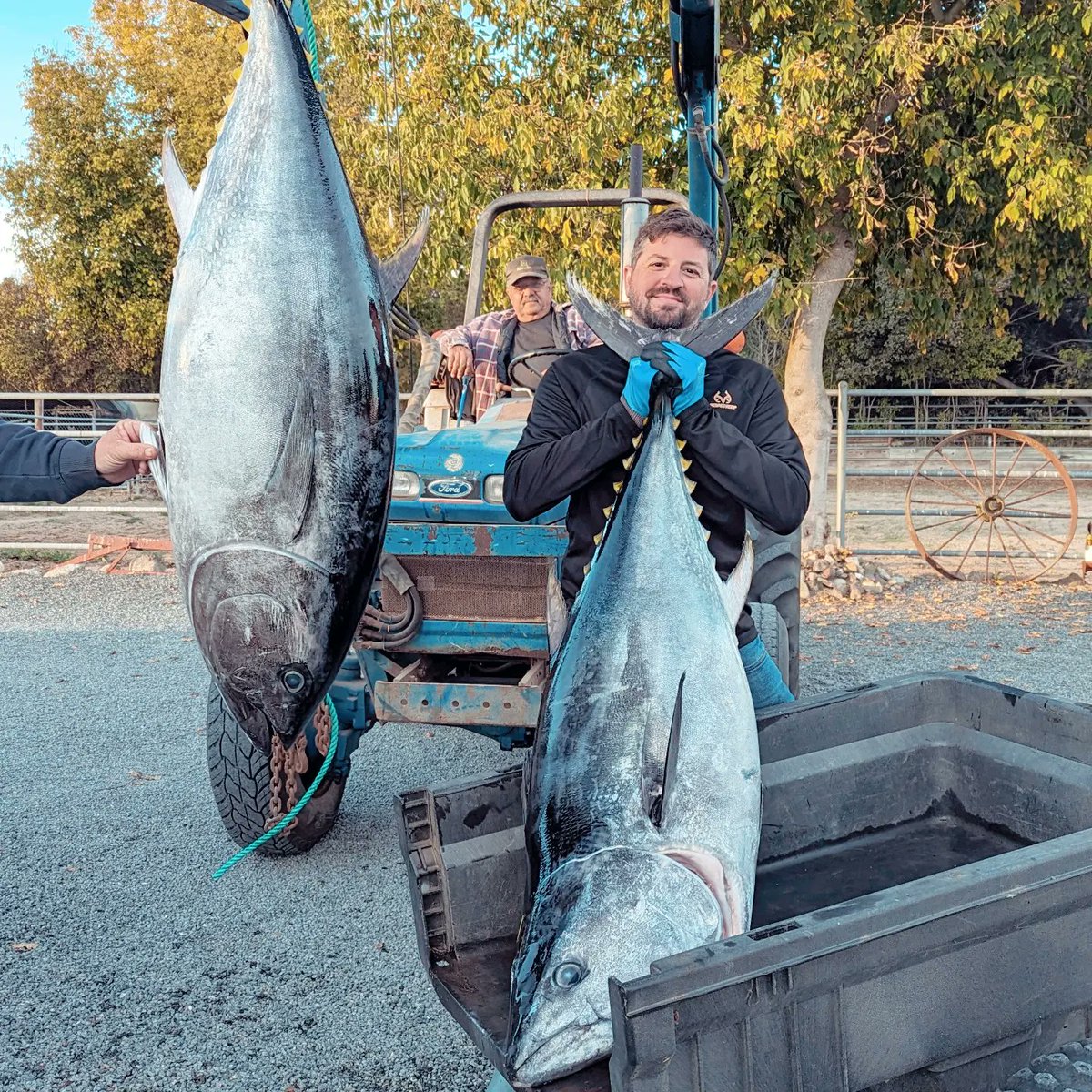 natedeeds's tweet photo. Bluefin tuna out of San Francisco! https://t.co/on8cffr382