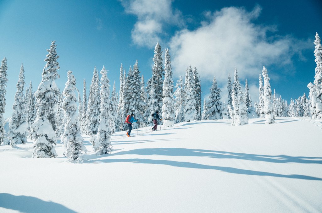 Ahh, chilly bluebird days!
•
•

#skiing #winter #renounskis #ski #skis #peaks #snow #adventure #mountains #mountain