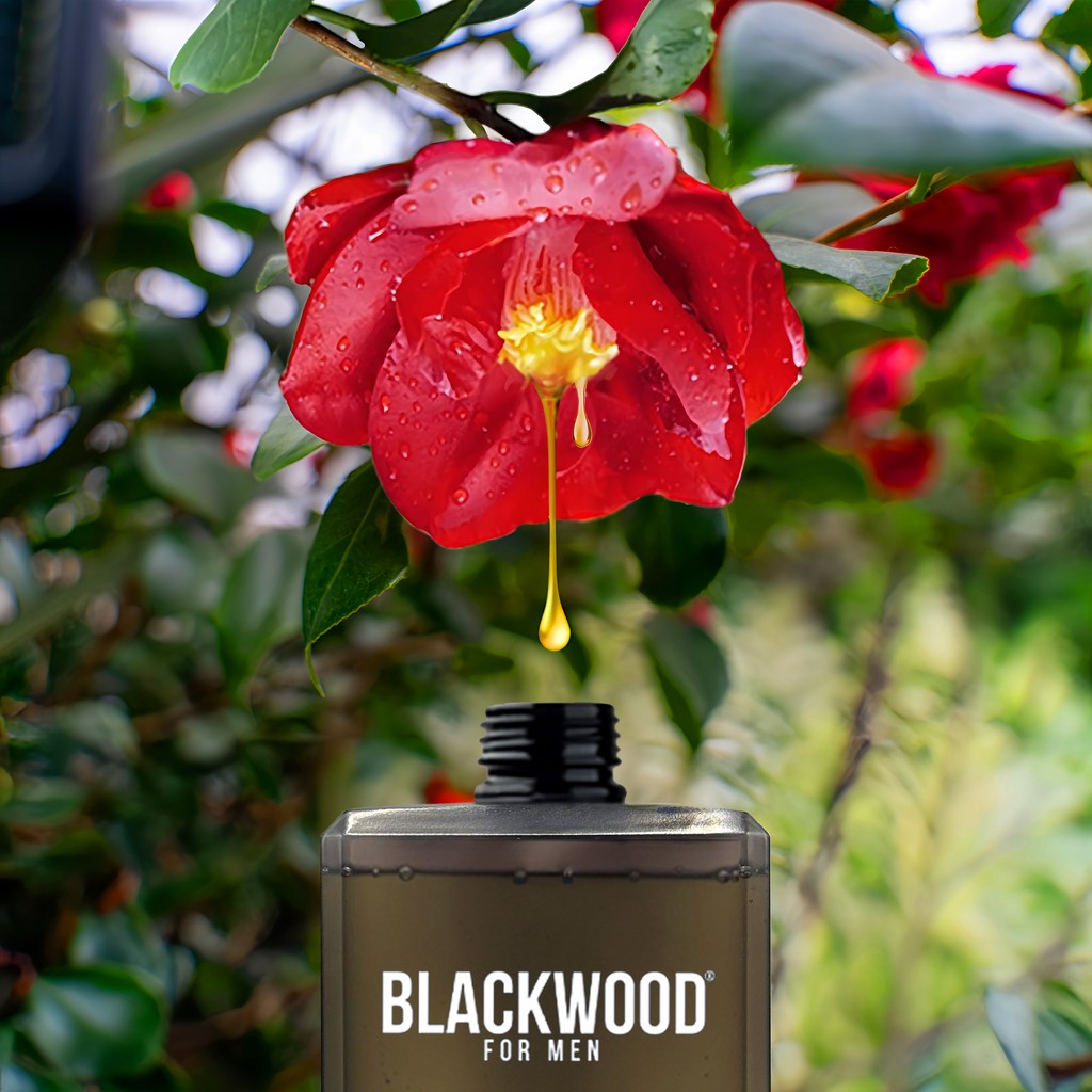 Blackwoodformen's tweet image. Discover the power of Tsubaki Oil! 🌸 Our grooming products are infused with this botanical boost for extra care. Benefits include deep hydration, inflammation relief, and fortified hair follicles. Try it today! 💪 #tsubakioil #BotanicalBoosts #camelliaflower #naturalingredients