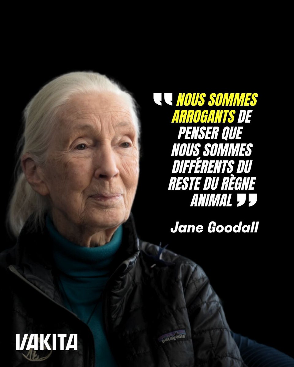 “Nous sommes arrogants de penser que nous sommes différents du reste du règne animal”

La légende Jane Goodall, l'une des voix les plus importantes de la défense de la biodiversité, nous explique son rapport au vivant. 

Elle était l'invitée de notre format MasterClass avec