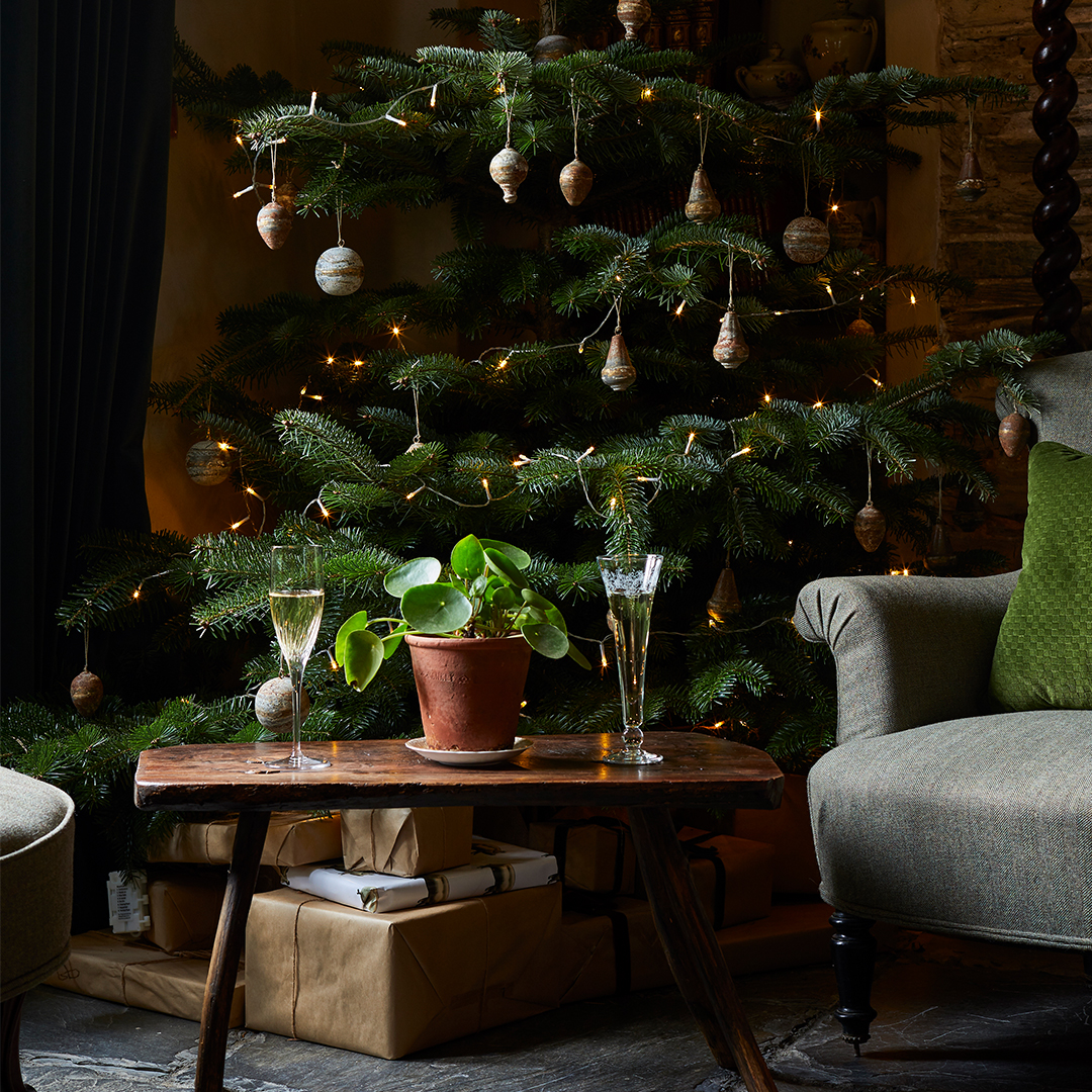 Give the gift of PIG this Christmas!🎁

From jars of our very own PIG Honey to vouchers that can picked up from your nearest PIG (or can be bought right up until the big day!) - there's something for everyone!🎄

Explore our PIG Christmas gifts today: gifts.thepighotel.com