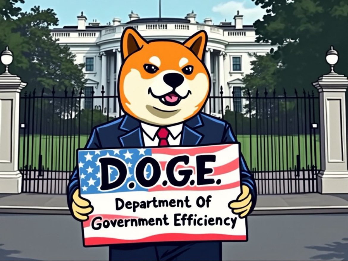 Crypto Lover (@heshambotrous) on Twitter photo 