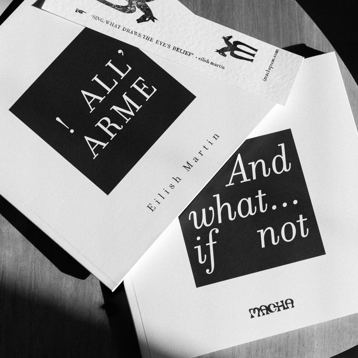 Have you ever seen a tête-bêche (head-to-toe) double book? Eilish Martin's work brings together lyrical fragmentation and narrative drive, deep care for public and private worlds.

Order here: machapress.com/subscriptions/…