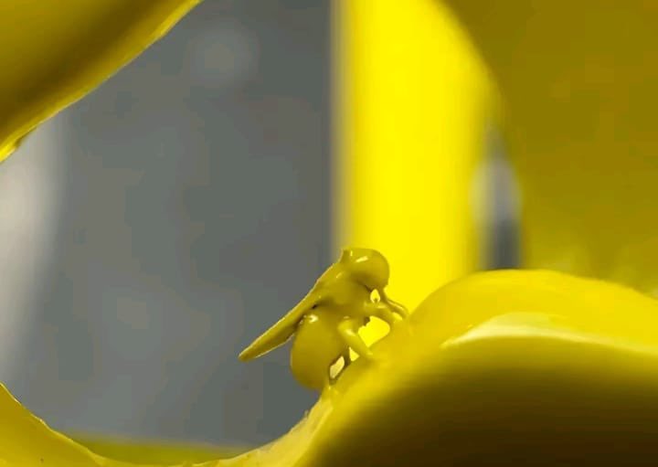 twaniimals's tweet image. Noooo