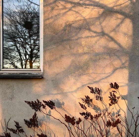 Bileyim hangi suyun sakasıyım ya rabbelalemin tütmesi gereken ocak nerde?

İsmet Özel