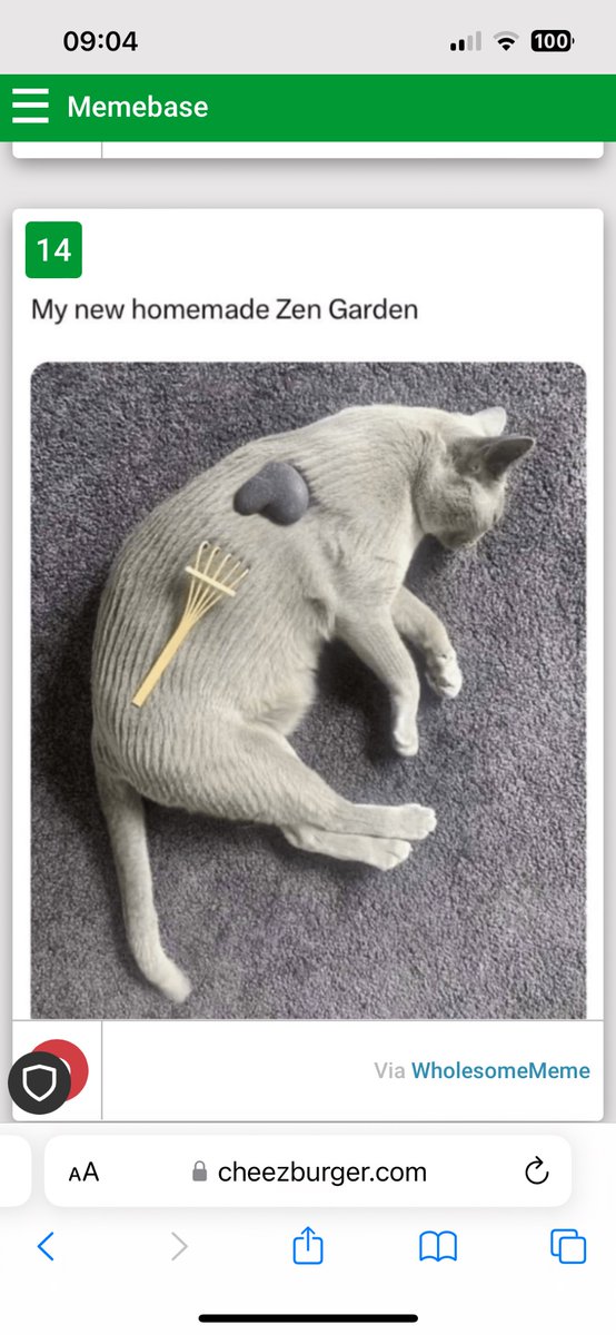This garden purrs