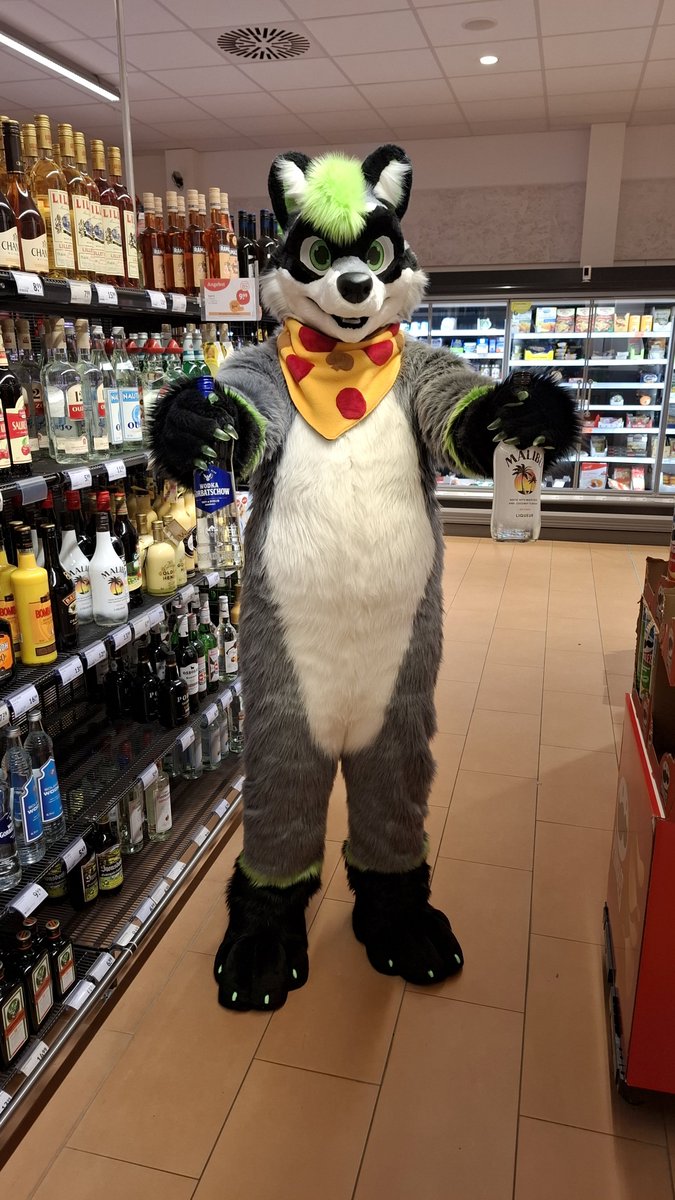 Seba Raccoon tweet media