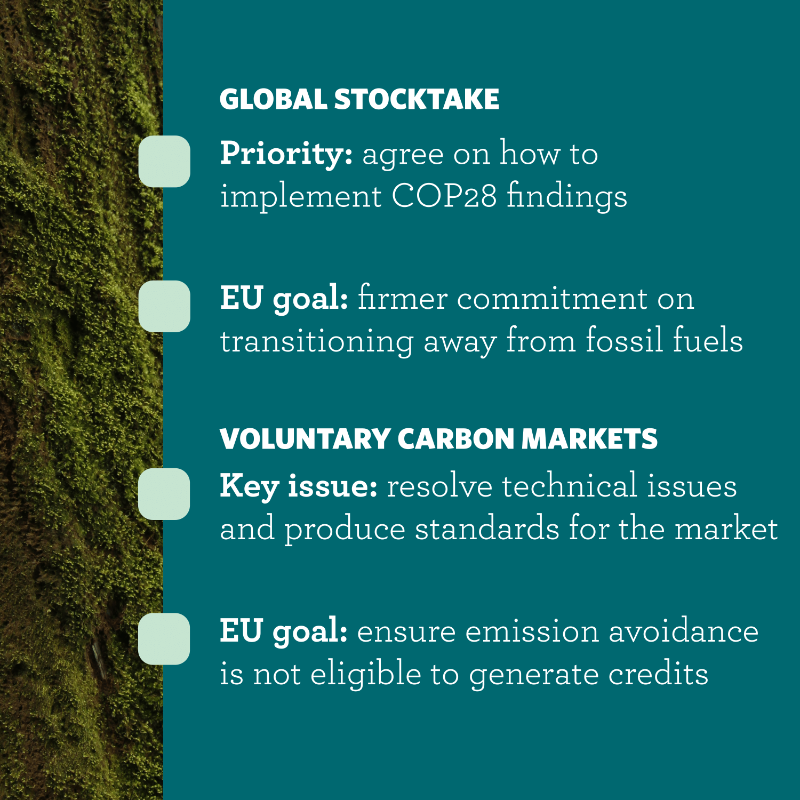 fleishmanEU's tweet photo. With some world leaders absent amidst recent political changes, will #COP29 be able to deliver the financial commitments urgently needed to fund climate action for the next 5 years?

Learn about COP's agenda and the EU’s primary objectives for a sustainable future 👇

#FHatCOP29
