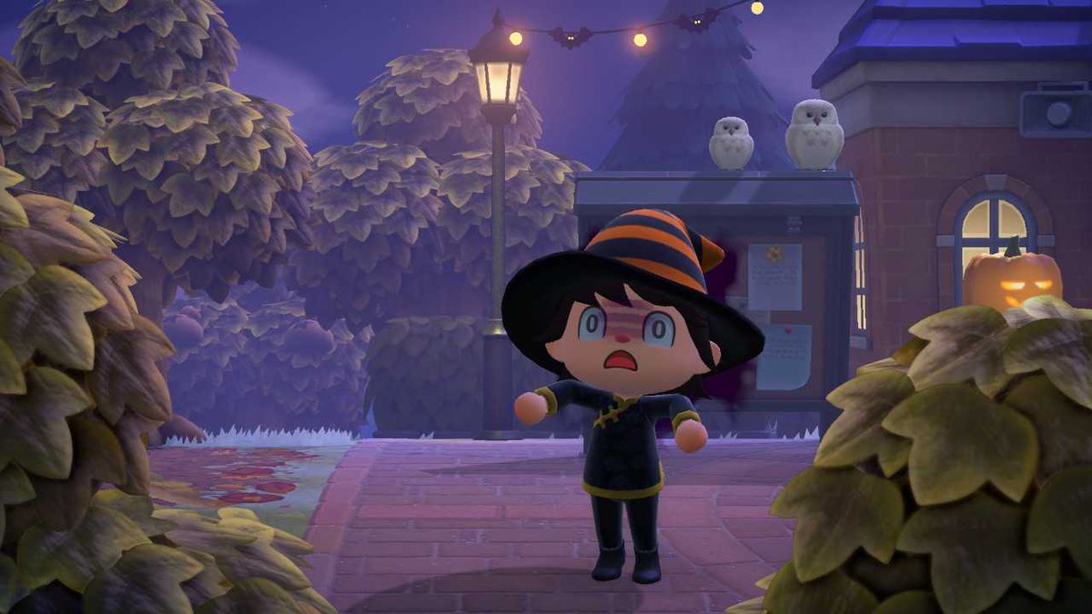 SequoiaFauna's tweet photo. Halloween photos a bit late.. https://t.co/y3COSX4Ju2